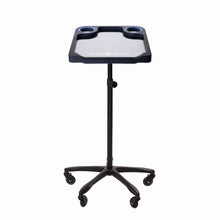 Lade das Bild in den Galerie-Viewer, Braids & Freckles • Magnetic Colorist Small Tray • Black