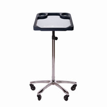 Lade das Bild in den Galerie-Viewer, Braids & Freckles • Magnetic Colorist Small Tray • Chrome