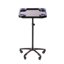 Lade das Bild in den Galerie-Viewer, Braids & Freckles • Magnetic Colorist Tray • Black